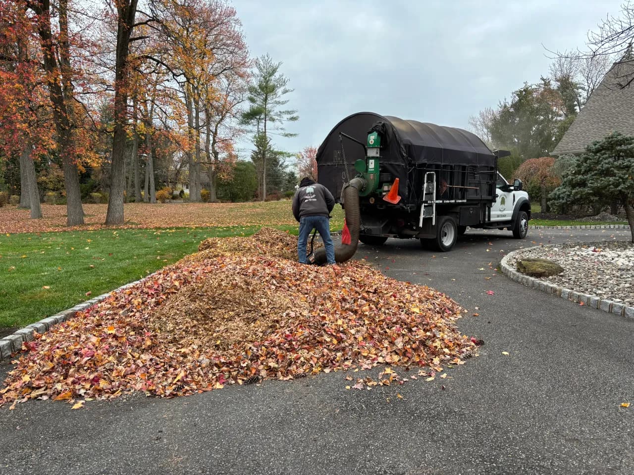 Spring & Fall Clean Ups