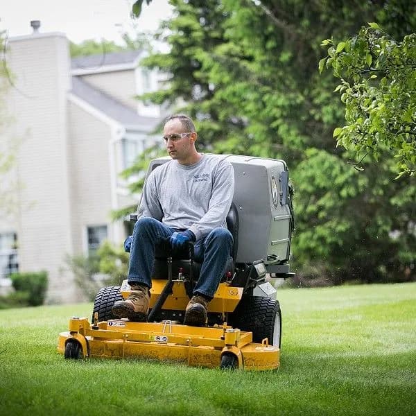Lawn Maintenance